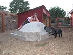 Savannah and friends